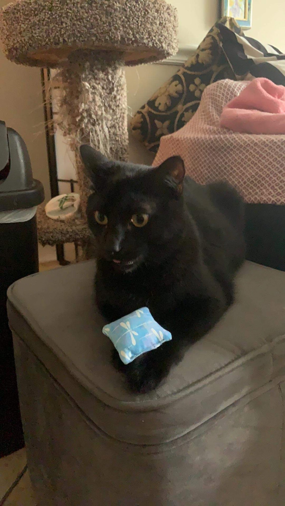 Handmade From Scraps Catnip Toys for Cats