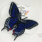 Pipeline Swallowtail Freestanding Lace Embroidered Butterfly Hair Clip