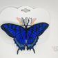 Blue Pale Tiger Swallowtail Freestanding Lace Embroidered Butterfly Hair Clip