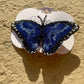 Made-To-Order Beautiful Blue Embroidered Butterfly Hair Clip