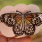 Nymphalidae Freestanding Lace Embroidered Butterfly Hair Clip